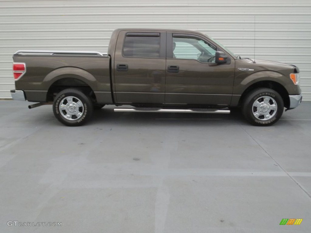Stone Green Metallic 2009 Ford F150 XLT SuperCrew Exterior Photo #73907752