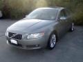 Willow Green Metallic - S80 3.2 Photo No. 3