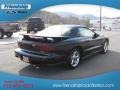 Black - Firebird Trans Am Coupe Photo No. 6