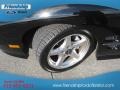 Black - Firebird Trans Am Coupe Photo No. 9