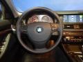 Black Steering Wheel Photo for 2012 BMW 5 Series #73922447