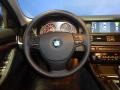  2012 5 Series 550i xDrive Sedan Steering Wheel