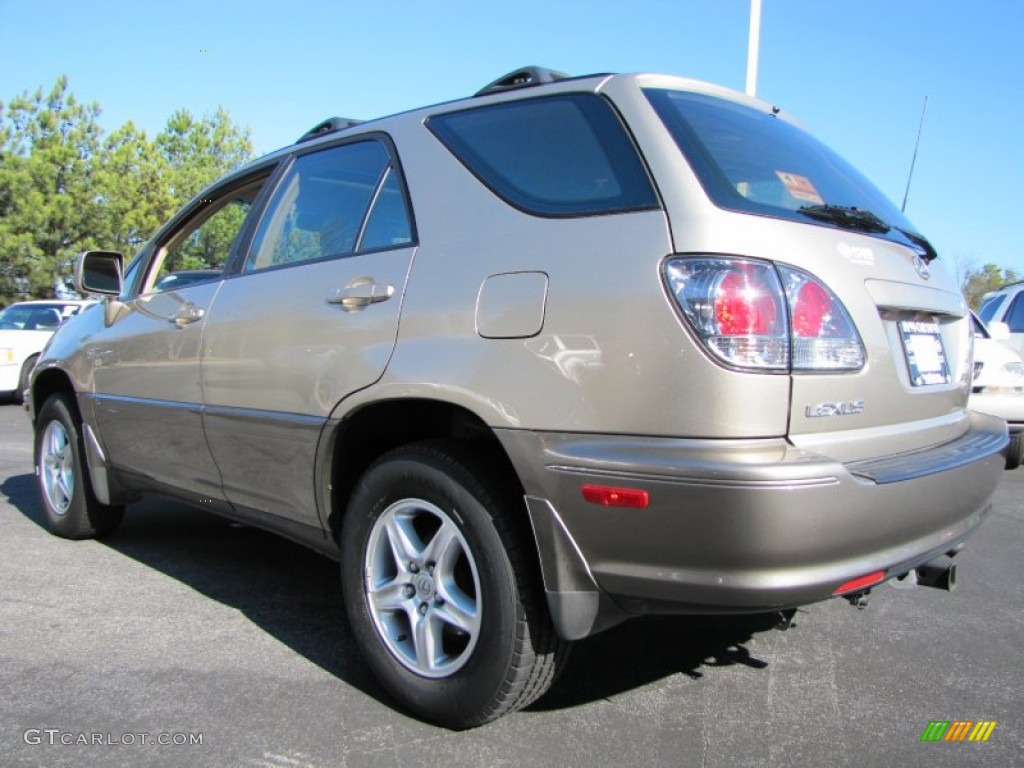 2002 RX 300 AWD - Burnished Gold Metallic / Ivory photo #2