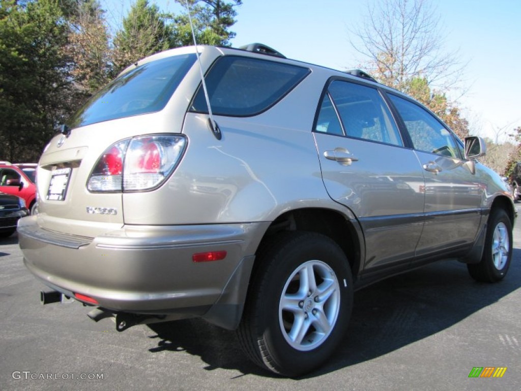 2002 RX 300 AWD - Burnished Gold Metallic / Ivory photo #3