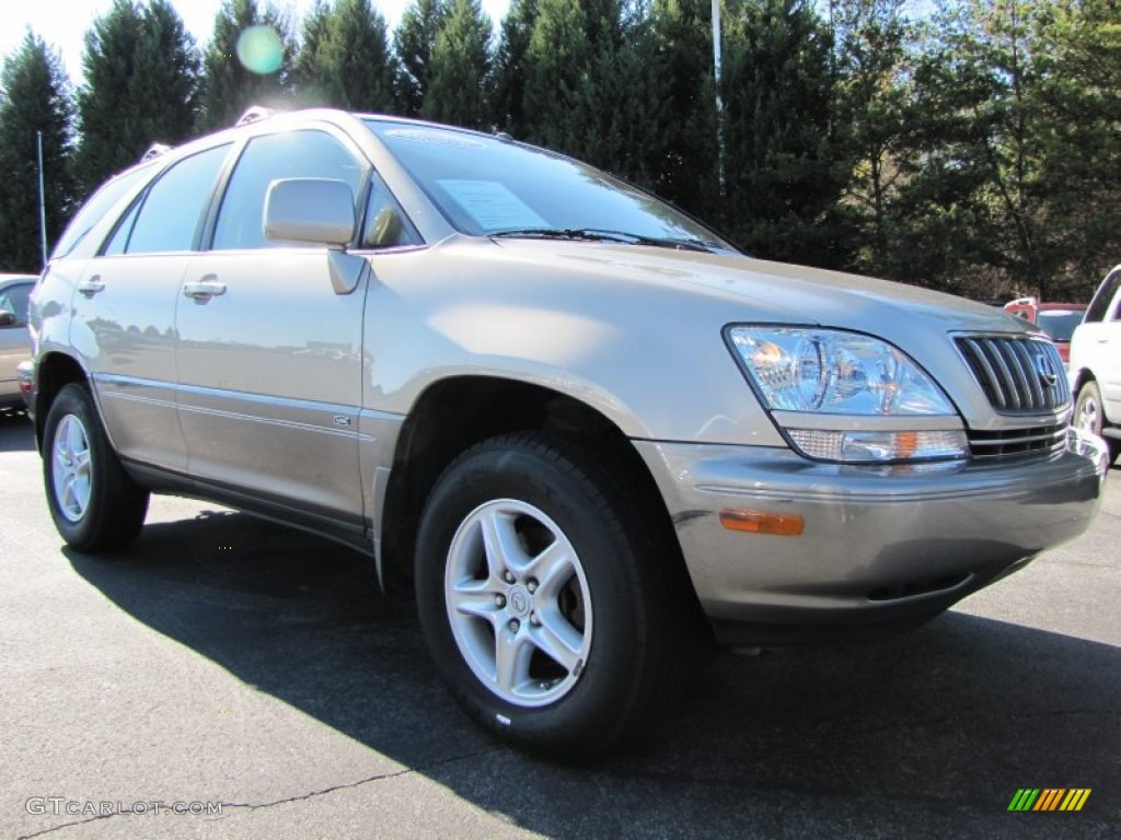 2002 RX 300 AWD - Burnished Gold Metallic / Ivory photo #4