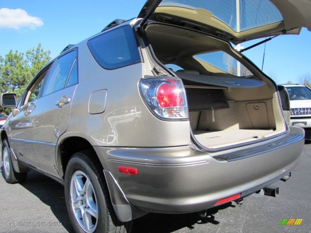 2002 RX 300 AWD - Burnished Gold Metallic / Ivory photo #9