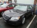 Willow Gray - Sonata GLS Photo No. 2