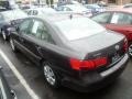 Willow Gray - Sonata GLS Photo No. 4