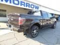 2010 Lava Red Metallic Ford F150 King Ranch SuperCrew 4x4  photo #8