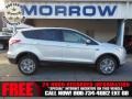 2013 Ingot Silver Metallic Ford Escape SEL 1.6L EcoBoost 4WD  photo #1