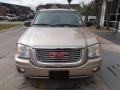 Sand Beige Metallic - Envoy SLE Photo No. 2