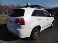 Snow White Pearl - Sorento SX V6 AWD Photo No. 6