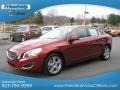 Flamenco Red Metallic - S60 T5 Photo No. 3