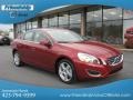 Flamenco Red Metallic - S60 T5 Photo No. 5