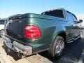 2001 Amazon Green Metallic Ford F150 Lariat SuperCrew  photo #3