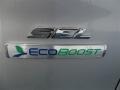 2013 Ingot Silver Metallic Ford Escape SEL 2.0L EcoBoost  photo #8
