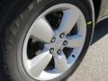 Black - 1500 Express Crew Cab Photo No. 5