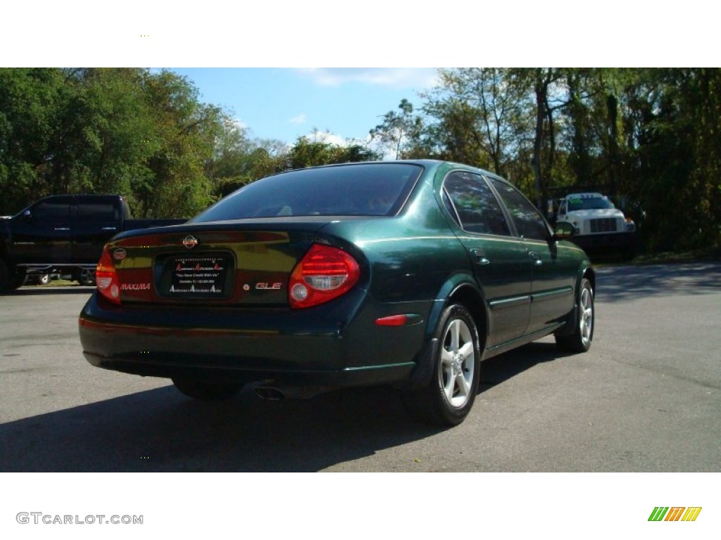 2000 Maxima GLE - Sherwood Green Metallic / Blond photo #3