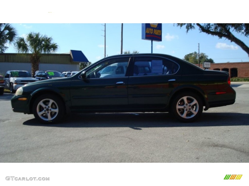 2000 Maxima GLE - Sherwood Green Metallic / Blond photo #6