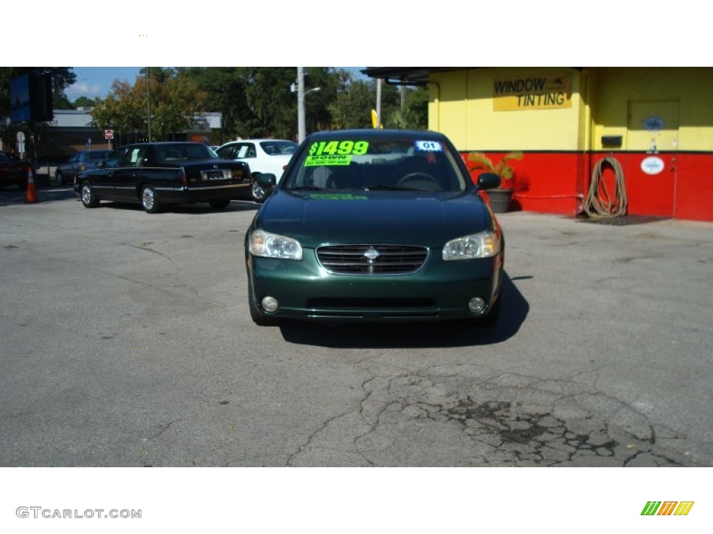 2000 Maxima GLE - Sherwood Green Metallic / Blond photo #8