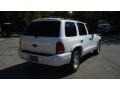 1999 Bright White Dodge Durango SLT  photo #4