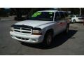 1999 Bright White Dodge Durango SLT  photo #7