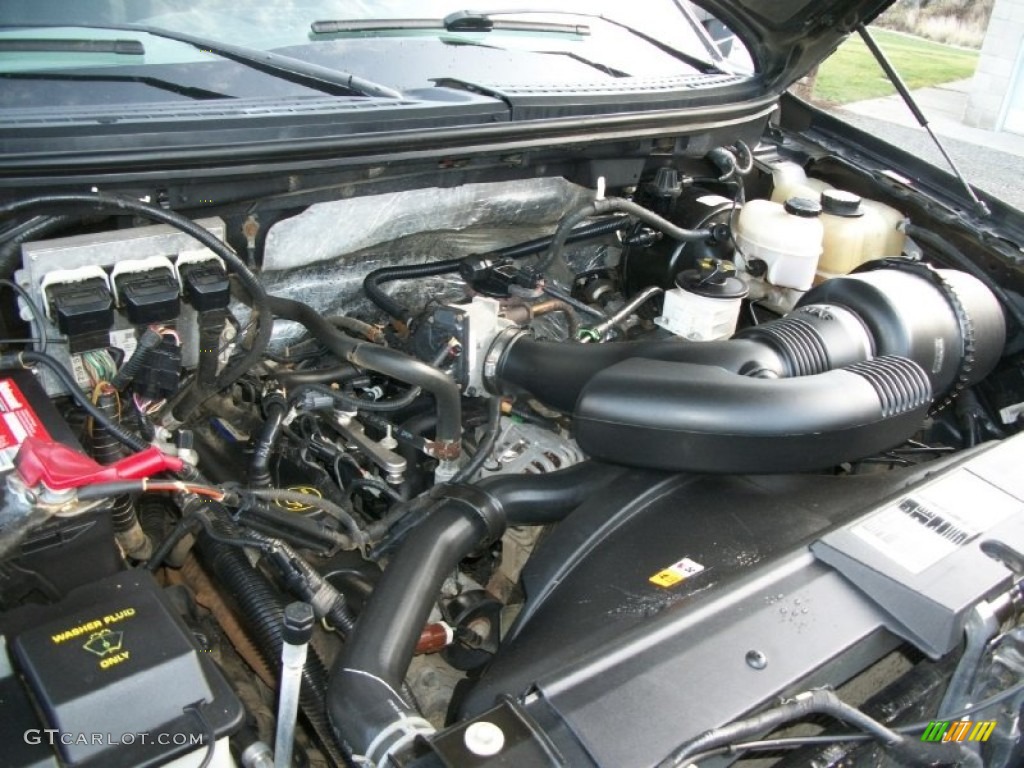 2008 Ford F150 XLT SuperCrew 4x4 4.6 Liter SOHC 16-Valve Triton V8 Engine Photo #73962258