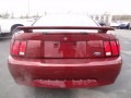 2004 40th Anniversary Crimson Red Metallic Ford Mustang V6 Coupe  photo #6
