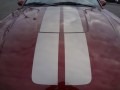 2004 Ford Mustang V6 Coupe Marks and Logos