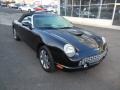 Evening Black 2002 Ford Thunderbird Premium Roadster Exterior