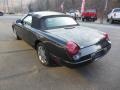 Evening Black - Thunderbird Premium Roadster Photo No. 6