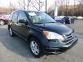 2010 Crystal Black Pearl Honda CR-V EX AWD  photo #7