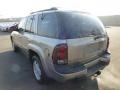 Light Pewter Metallic - TrailBlazer LT 4x4 Photo No. 4