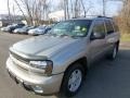 Light Pewter Metallic - TrailBlazer LT 4x4 Photo No. 5