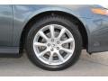 Carbon Gray Pearl - TSX Sedan Photo No. 25