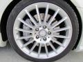 2011 Mercedes-Benz SLK 300 Roadster Wheel and Tire Photo