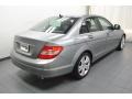 Palladium Silver Metallic - C 300 Luxury Photo No. 11