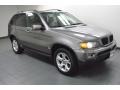 Sterling Grey Metallic - X5 3.0i Photo No. 8