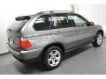 Sterling Grey Metallic - X5 3.0i Photo No. 11