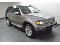 2006 Sterling Grey Metallic BMW X5 4.4i  photo #8