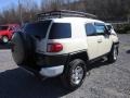 Sandstorm Metallic - FJ Cruiser 4WD Photo No. 6