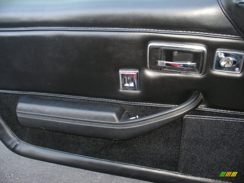 1979 Chevrolet Corvette T-Top Black Door Panel Photo #73985987