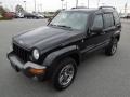 Black Clearcoat 2004 Jeep Liberty Rocky Mountain Edition 4x4