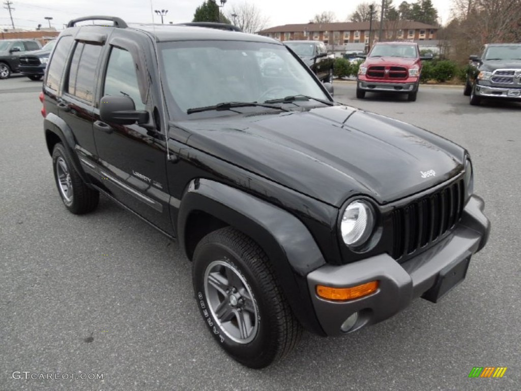 2004 Liberty Rocky Mountain Edition 4x4 - Black Clearcoat / Dark Slate Gray/Taupe photo #2