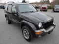 2004 Black Clearcoat Jeep Liberty Rocky Mountain Edition 4x4  photo #2