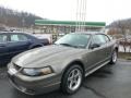 Mineral Grey Metallic 2001 Ford Mustang Cobra Coupe