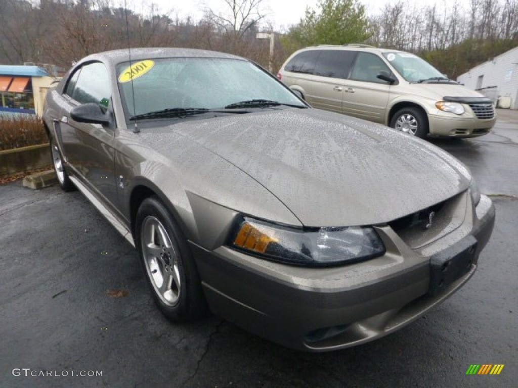 2001 Mustang Cobra Coupe - Mineral Grey Metallic / Dark Charcoal photo #4
