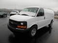 2013 Summit White Chevrolet Express 1500 Cargo Van  photo #2