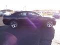 Pitch Black - Charger SE Photo No. 4