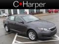 Platinum Graphite - Optima LX Photo No. 1